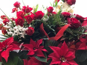 cele-mai-rezistente-flori-in-lunile-de-iarna