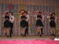 activitati036