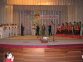 activitati037