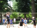 volei
