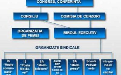 Organigrama