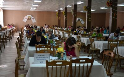 comcursul maestiei profesionale