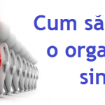 creezi