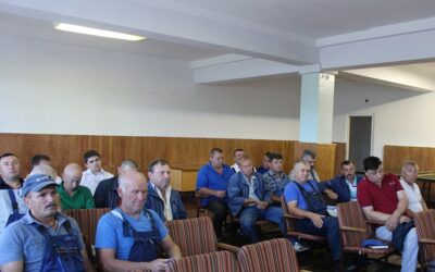 IMG_0971.jpg1