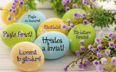 paste-fericit-5_06903800