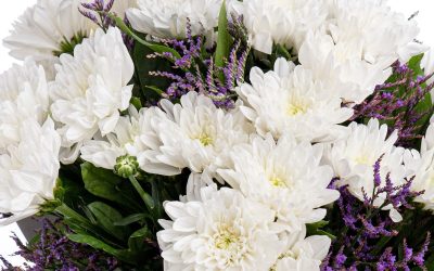 buchet_crizanteme_albe_premium_detaliu