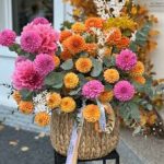 images (1)