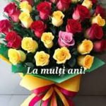 images (3)