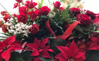 cele-mai-rezistente-flori-in-lunile-de-iarna