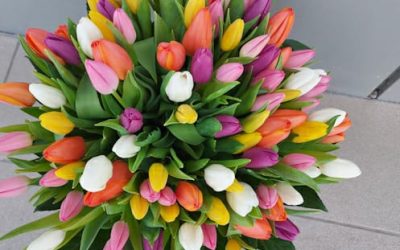 Buchet-Lalele2